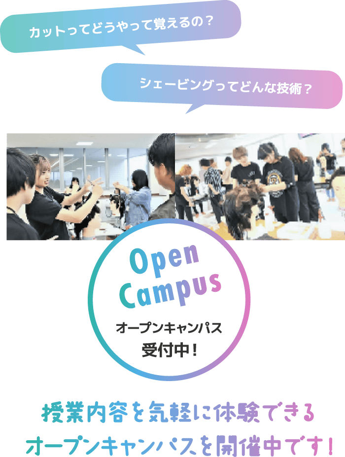 Qualifications and work